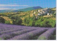 Giono et la Provence