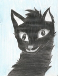 Le Chat Noir de la pallisade